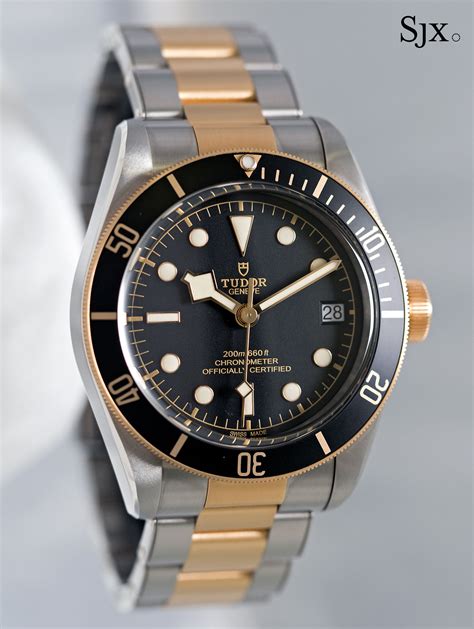 Tudor Heritage Black Bay S&G 79733N Two.